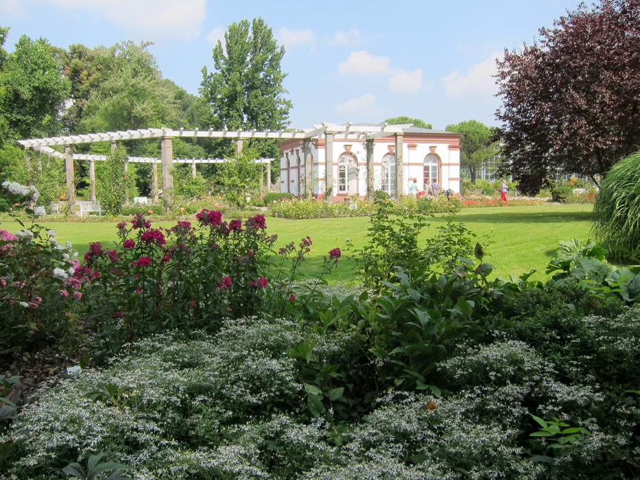 Palmengarten12